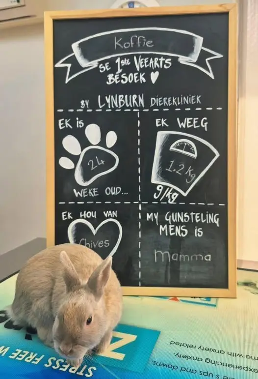 Koffie at the first visit, beside the chalkboard