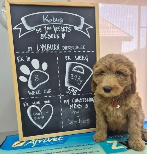 Kobus at the first visit, beside the chalkboard