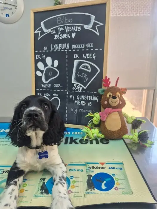 Bilbo at the first visit, beside the chalkboard